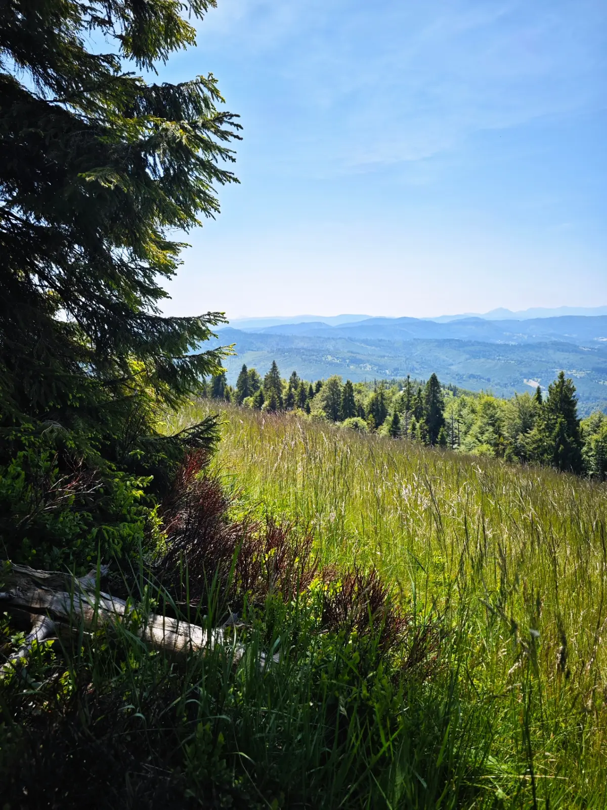 Lato w Beskidach